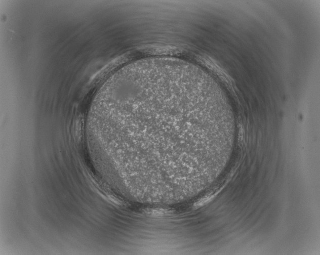 X0000081580165200702051248