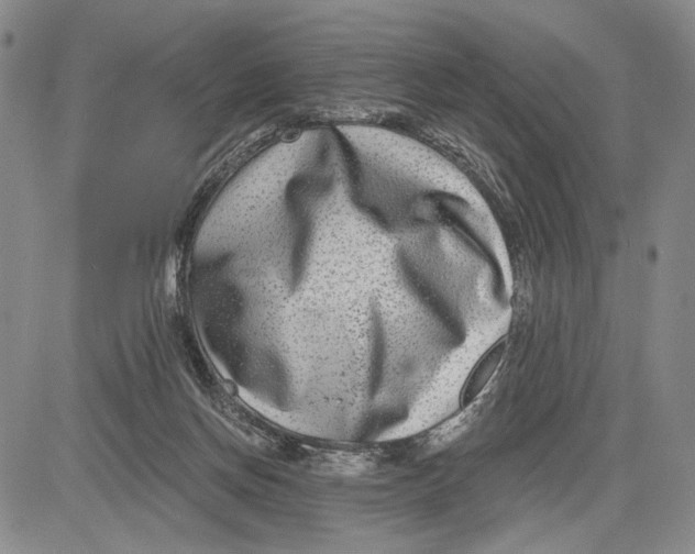 X0000081580166200702051248