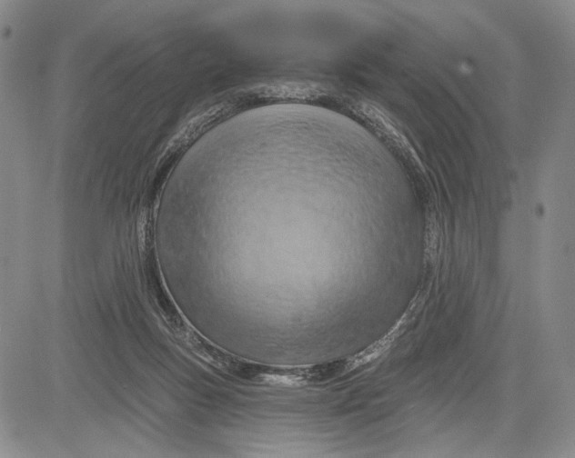 X0000081580167200702051248