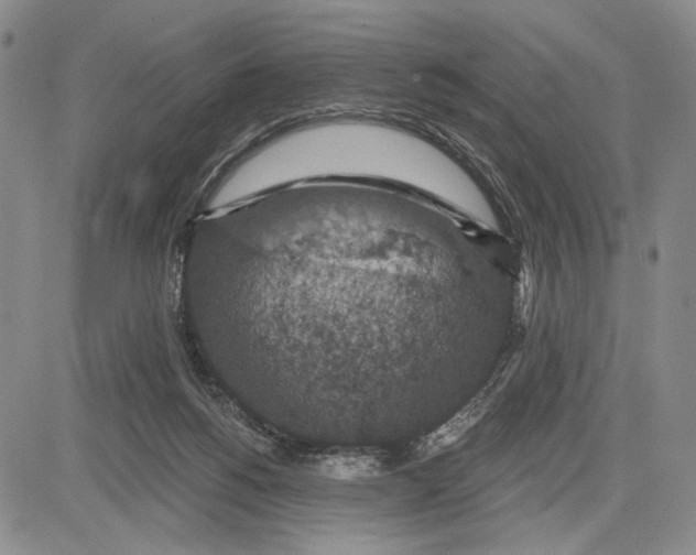 X0000081580168200702051248