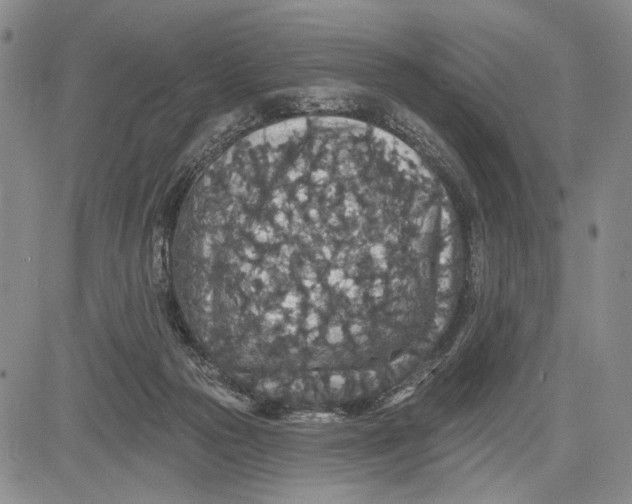 X0000081580169200702051248