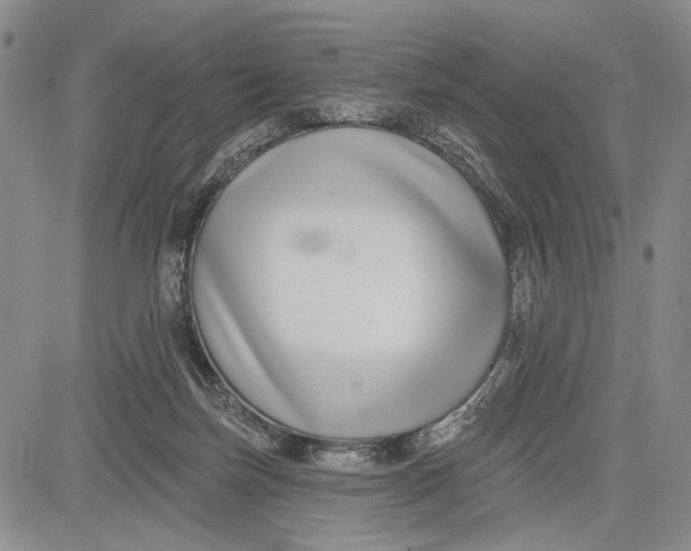 X0000081580171200702051248