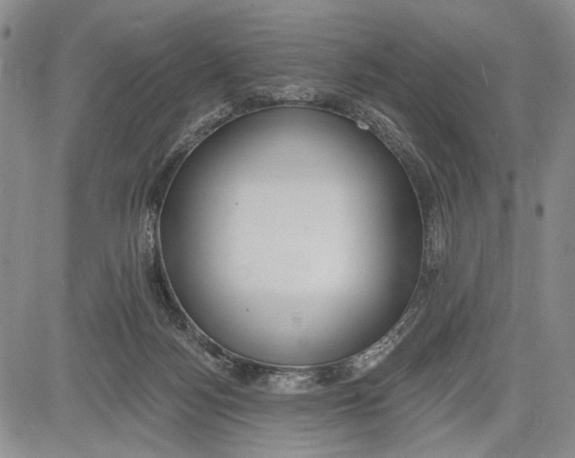 X0000081580172200702051248