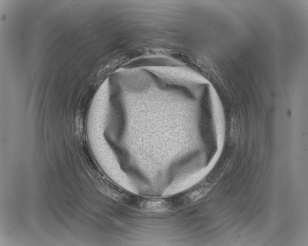 X0000081580173200702051248