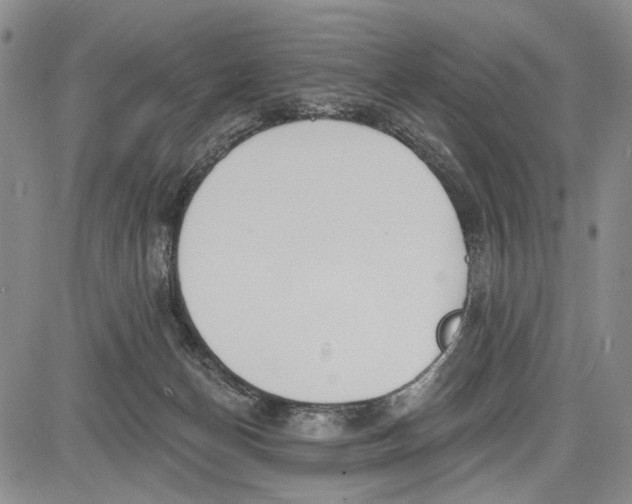 X0000081580174200702051248