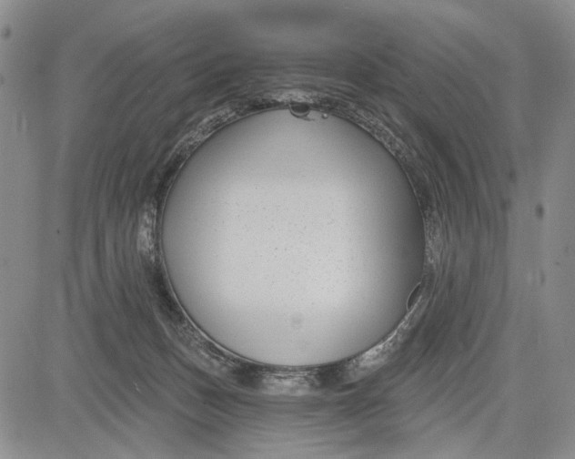 X0000081580175200702051248