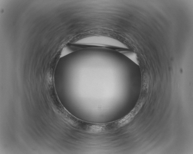 X0000081580176200702051248