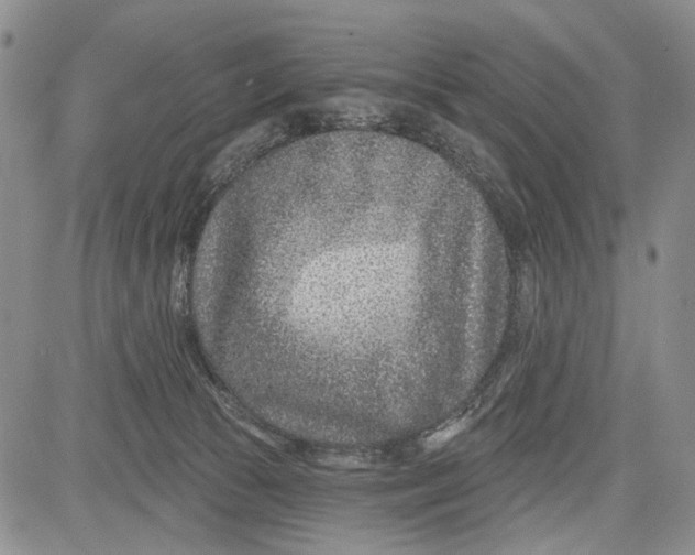 X0000081580177200702051248