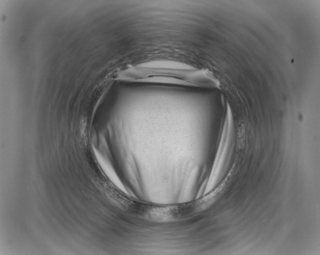 X0000081580178200702051248