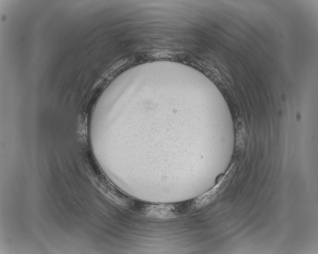 X0000081580179200702051248