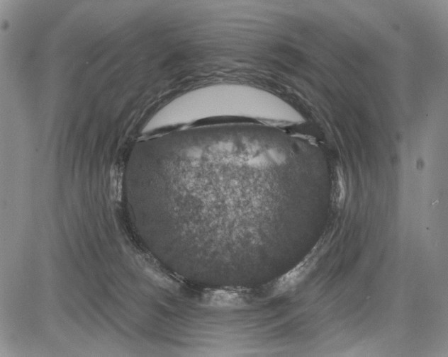 X0000081580180200702051248