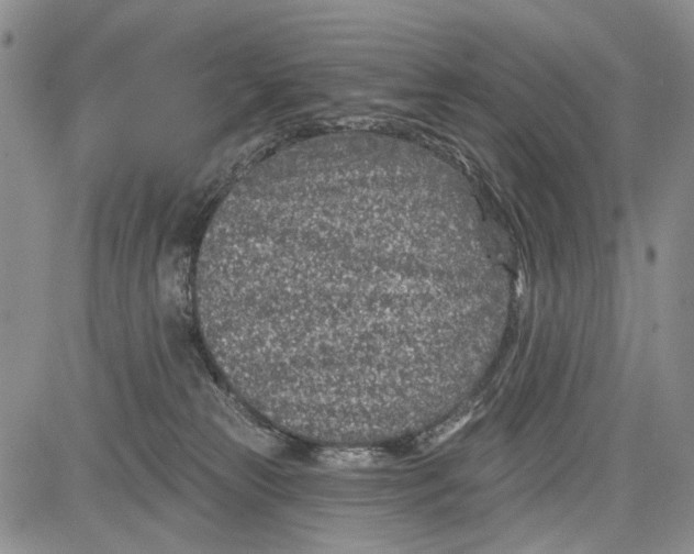 X0000081580181200702051248