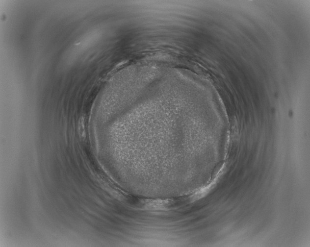 X0000081580182200702051248