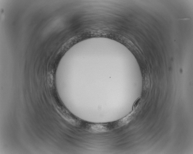 X0000081580183200702051248