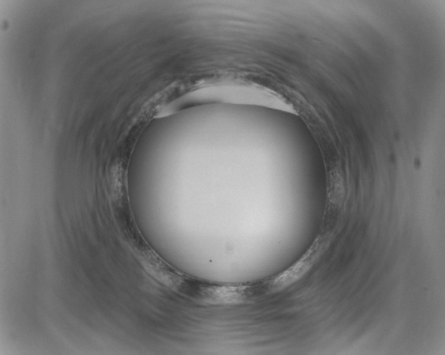 X0000081580184200702051248