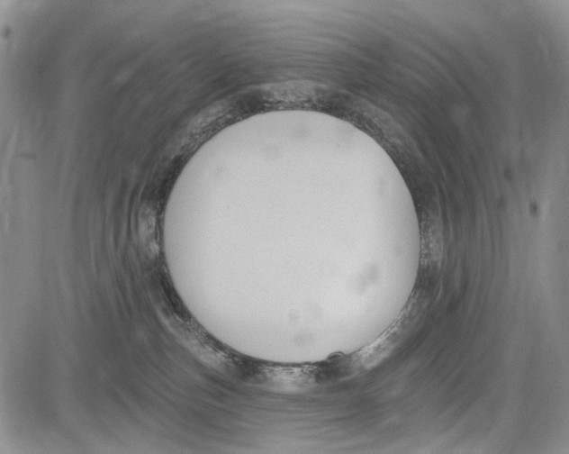 X0000081580187200702051248