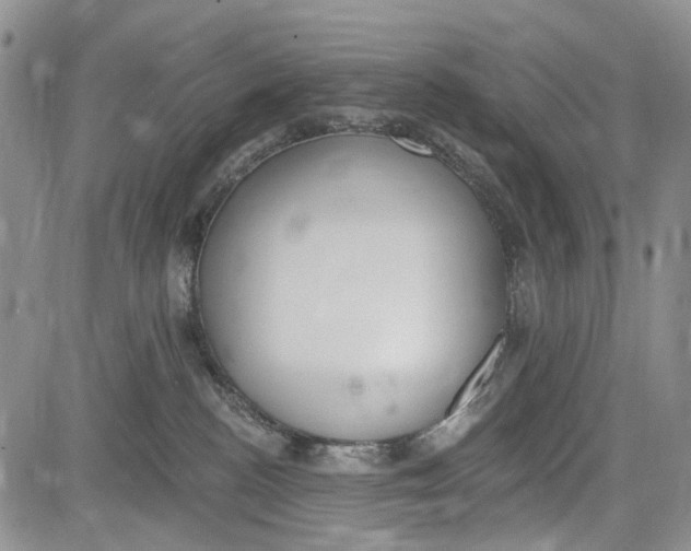 X0000081580188200702051248