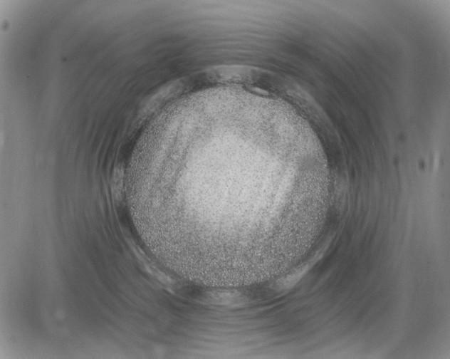 X0000081580189200702051248