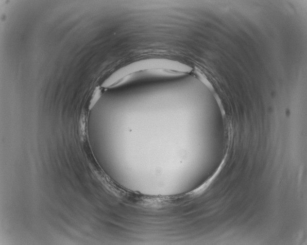 X0000081580190200702051248