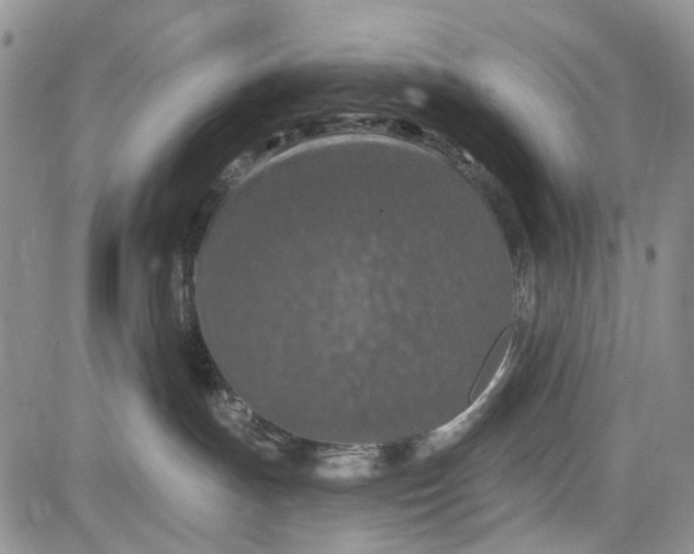 X0000081580191200702051248