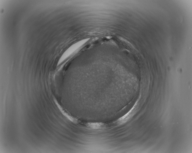 X0000081580192200702051248