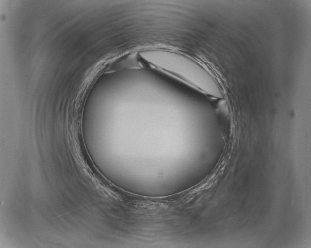 X0000081580193200702051248