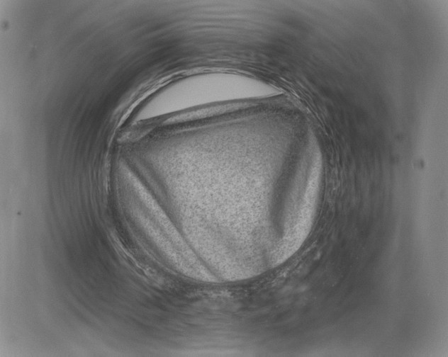 X0000081580194200702051248