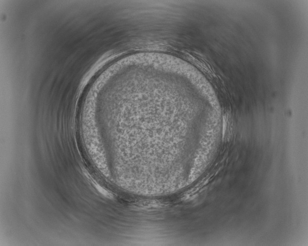 X0000081580195200702051247