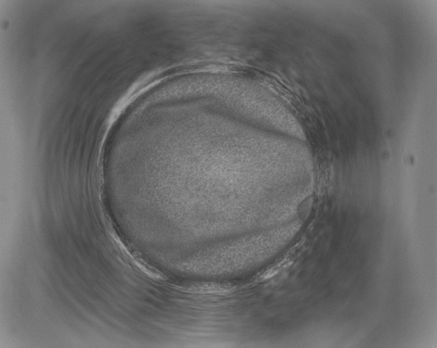 X0000081580198200702051247