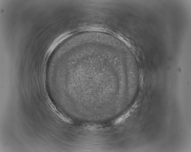 X0000081580199200702051247