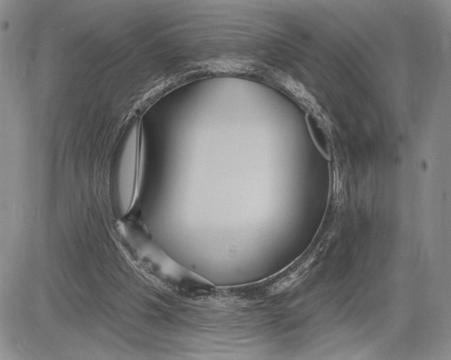 X0000081580201200702051247