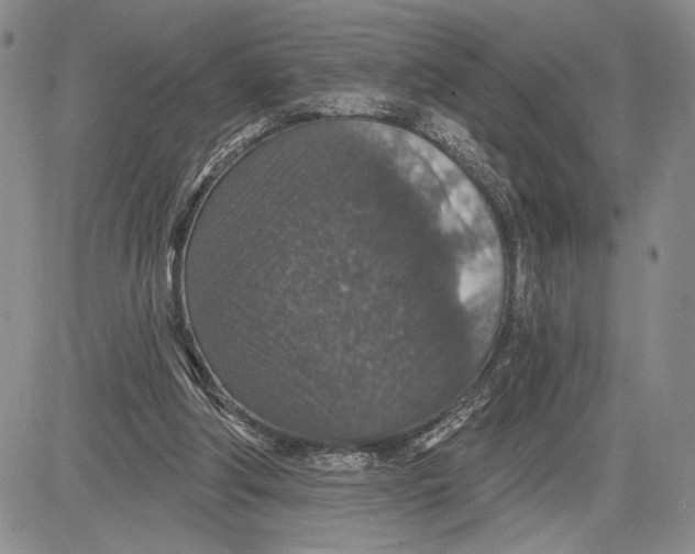 X0000081580202200702051247