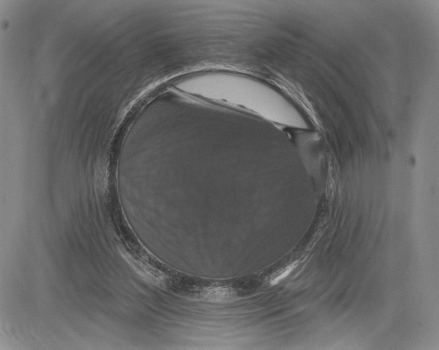 X0000081580204200702051247