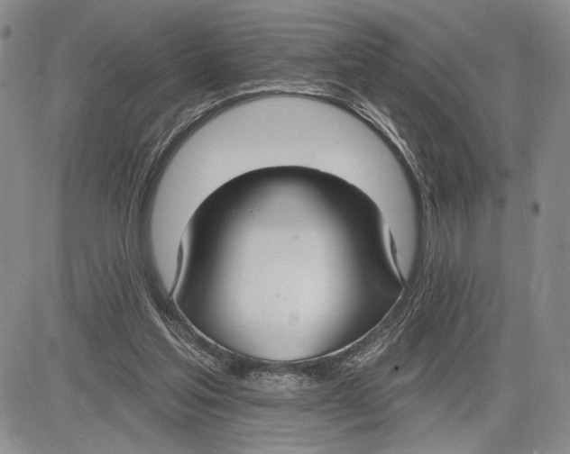 X0000081580205200702051247