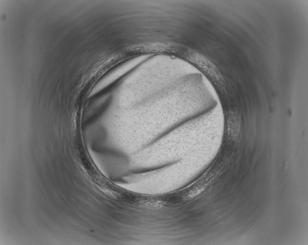 X0000081580206200702051247