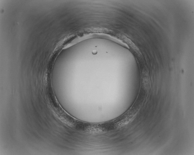 X0000081580207200702051247