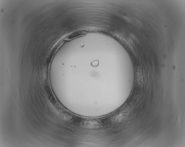 X0000081580208200702051247