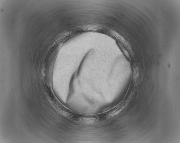 X0000081580209200702051247