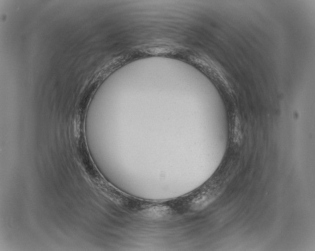 X0000081580210200702051247