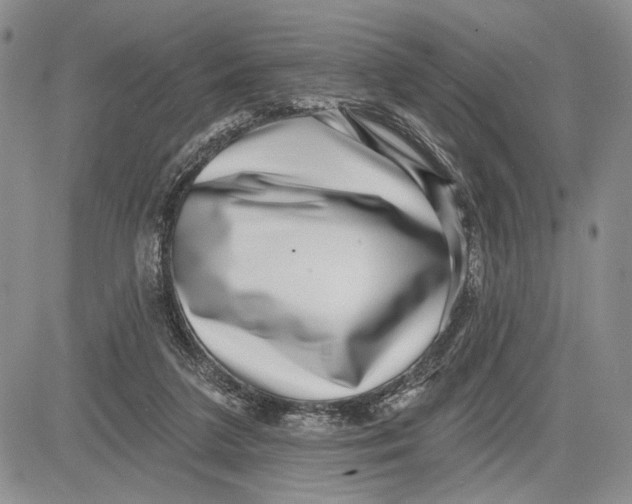 X0000081580211200702051247