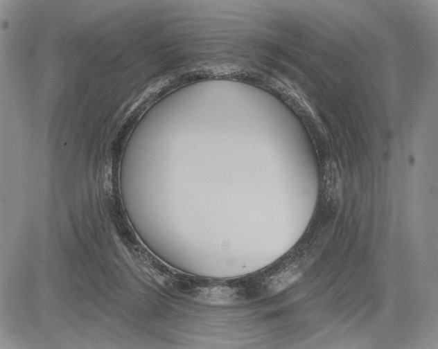 X0000081580212200702051247