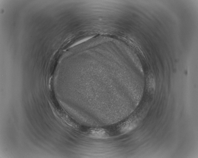 X0000081580214200702051247