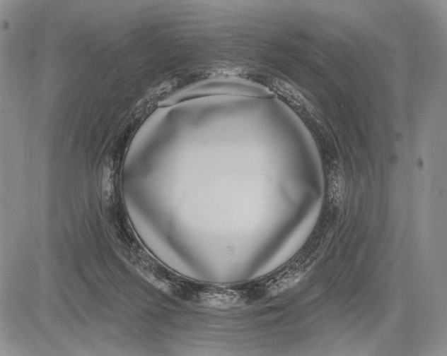 X0000081580215200702051247