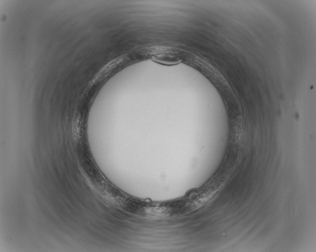 X0000081580216200702051247