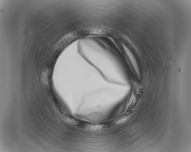 X0000081580217200702051247