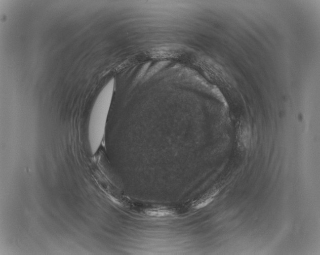 X0000081580219200702051247