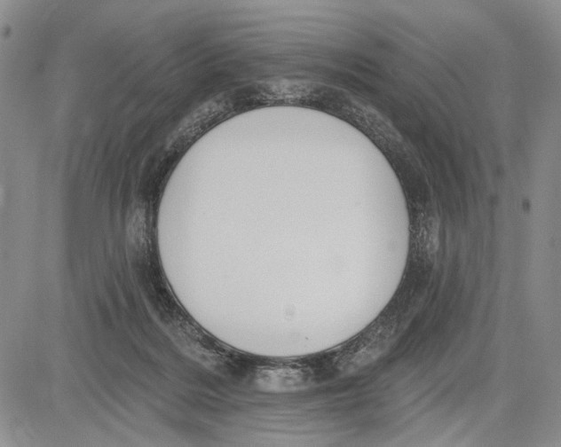 X0000081580220200702051247