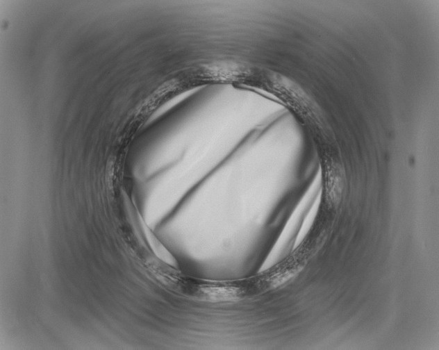 X0000081580221200702051247