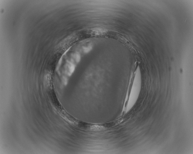 X0000081580222200702051247