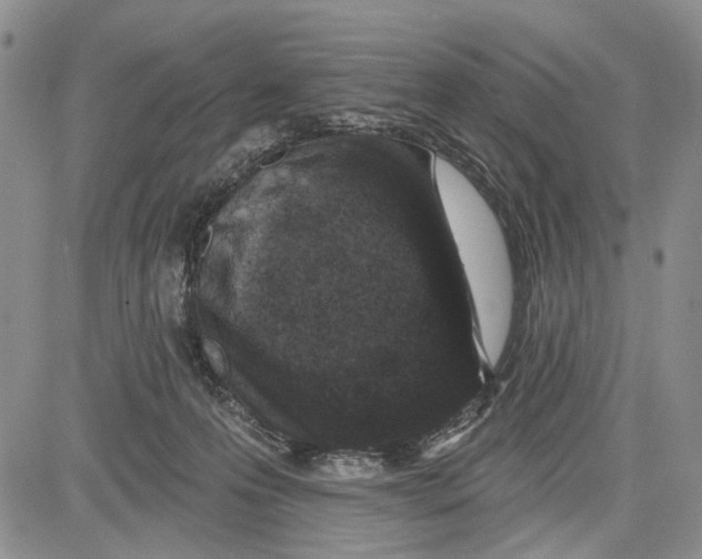 X0000081580223200702051247